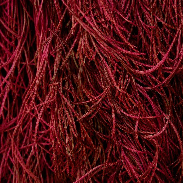 Astaxanthin